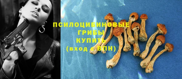 ECSTASY Белокуриха