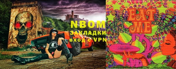 ECSTASY Белокуриха