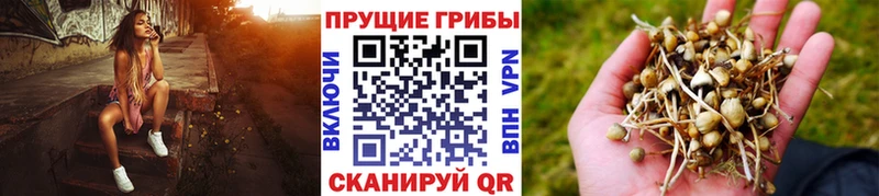 Галлюциногенные грибы GOLDEN TEACHER  Купить  Балабаново 